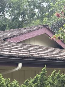 Before & After Exterior Painting in Pasadena, CA (1)